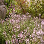 Pict0307