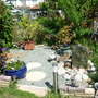 Our_garden_may_11th_08_044