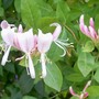 18_6_8