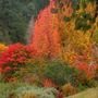 High autumn from my window