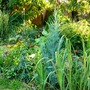 P1020461