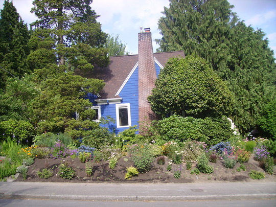 Our house and garden from across the street