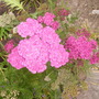 Pict0364