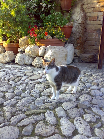 My 15 year old friend called June