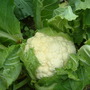 Dscf0020