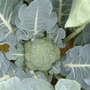 Dscf0023