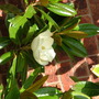 Imported_Photos_00071.jpg