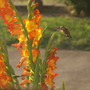20080623_02