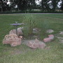 rocks and zebra grass