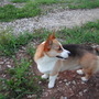 Shorty my buddy