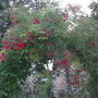 June_28th_2008_044
