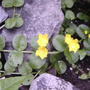 2008-06-27_033