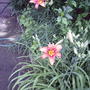2008-06-30_013