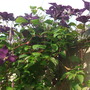 Dscf3818