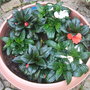 Dscf3819