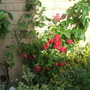 Dscf3820