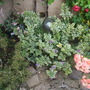 Dscf3821