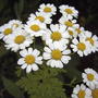 2008-07-01_033