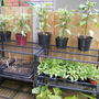 July_6th_08_009