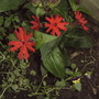 2008-06-27_028
