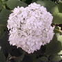 2008-07-082_038