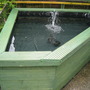 Our new pond