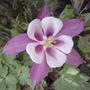 2008-07-09_041