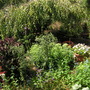 Pict0234