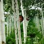 Mirror garden
