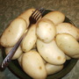 A few of our "First Earlies", ready to cook!