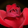 Img_0760