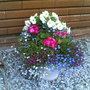 Front_door_plater