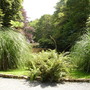 Trevarno gardens.