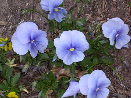 DSCN5080.jpg