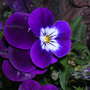 Dscn5081