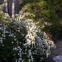 Dscn5086
