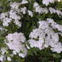 Dscn5087