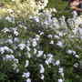 Dscn5089