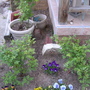 Dscn5075
