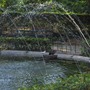 San_anton_gardens_2