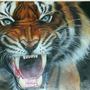 tiger tiger