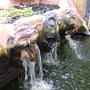 water feacture