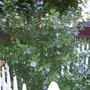 100_0941.jpg