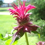 Dsc01621