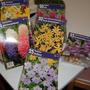 Spring_bulbs