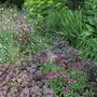 2006_06_27_long_border_e-mail