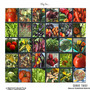 my garden art of everything in the garden this year