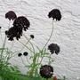 P1020710