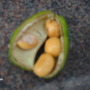 Inside pods