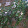 Dscn2865